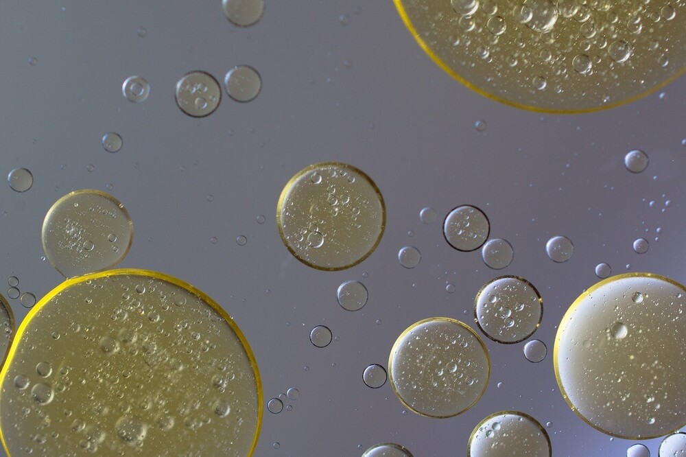 Bile Breakdown: What It Is and Why We Need It