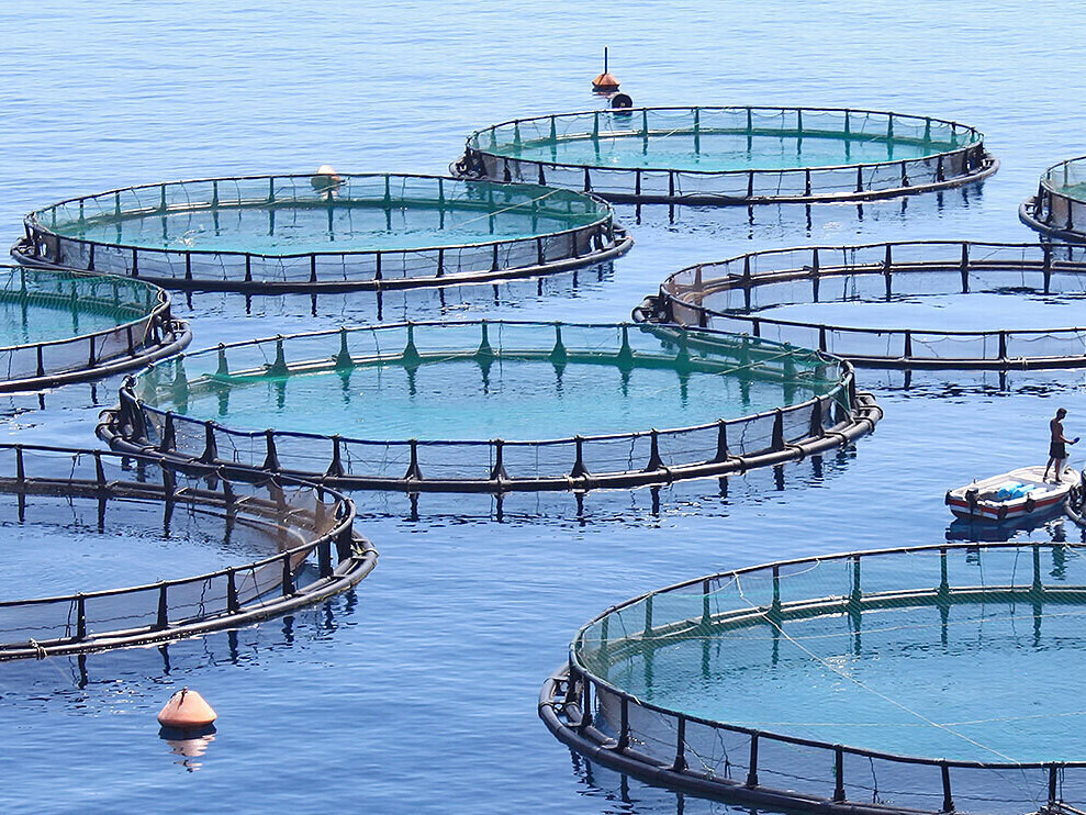 Aquaculture