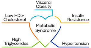 Reversing Metabolic Syndrome and knowing the signs 