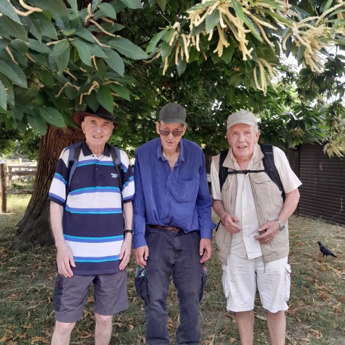 Wimbledon to Richmond, Sunday 22nd June