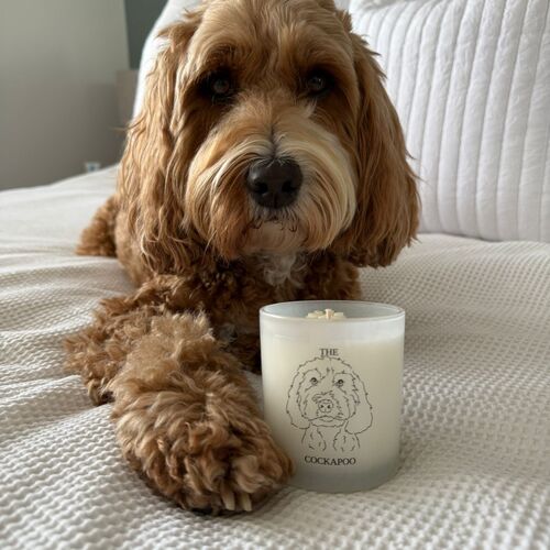 The Cockapoo Candle