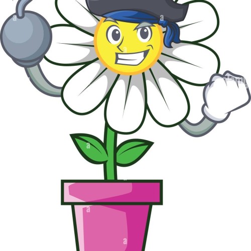 ⚓️ This Be A Pirate’s Guide to Prenatal Care at Daisyscan 🏴‍☠️