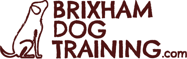 Brixham Dog Training