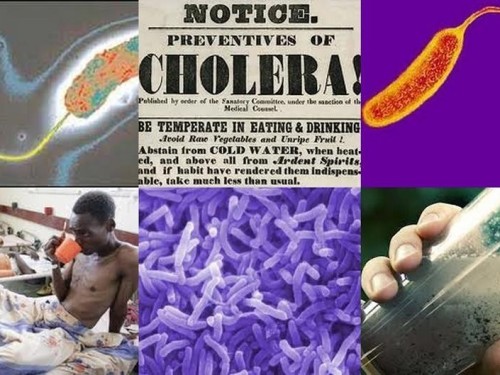 Halista Cudurka Daacuunka iyo ka hortagiisa