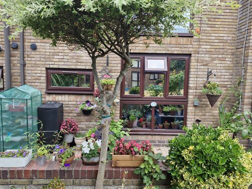 Window Film Image Gallery