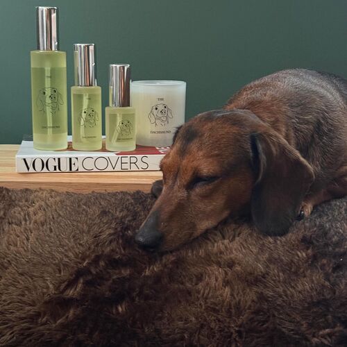 The Dachshund Candle