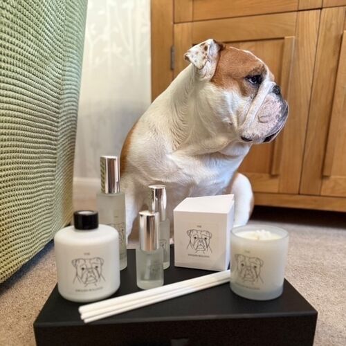 The English Bulldog Candle