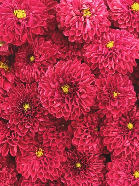 *IN THE LOOP AUGUST - OCTOBER 2024*