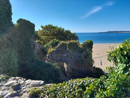 1 PLACE LEFT -Tenby, St Davids and the Pembrokeshire Coastal Path, Wales 2026 - 1 PLACE LEFT