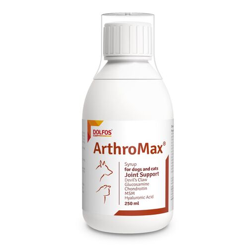 ArthroMax 250ml