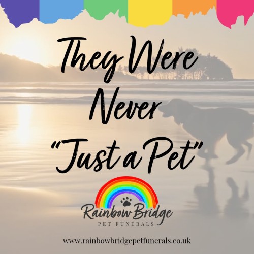 They Were Never Just a Pet