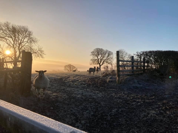 Free data files updated