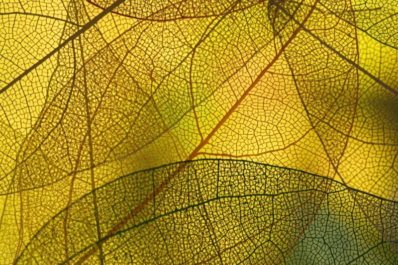 Attachment‑Informed EMDR Therapy: Making Sense of Early Relational Patterns