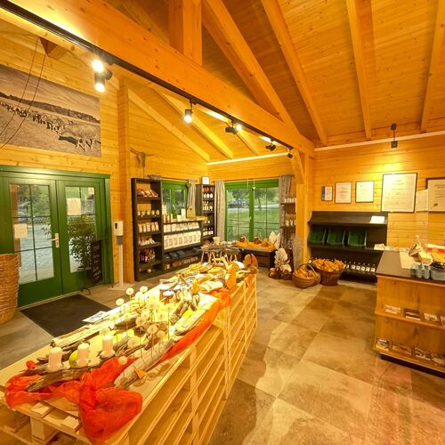 Bright and welcoming interior of a timber retail space, featuring natural wood walls, ceilings, and beams for a warm and rustic ambiance. The layout includes neatly arranged shelves, display units, and baskets for showcasing products, complemented by a central table with handcrafted items. Green-framed double doors and large windows allow natural light to flood the space, providing a connection to the outdoor environment. Track lighting and spotlights highlight the displays, while tiled flooring adds a modern and durable touch. Designed and installed by Forever Timber, this space combines functionality, charm, and expert craftsmanship, making it ideal for boutique or artisanal shops.
