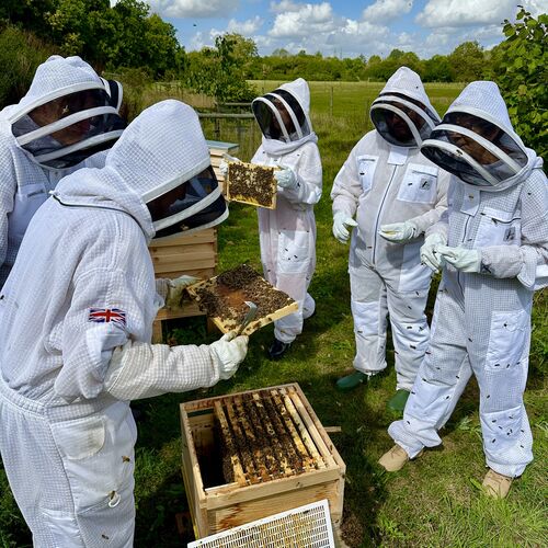 Gallery | East Anglia Apiaries | Raw honey | Local honey | Natural Honey