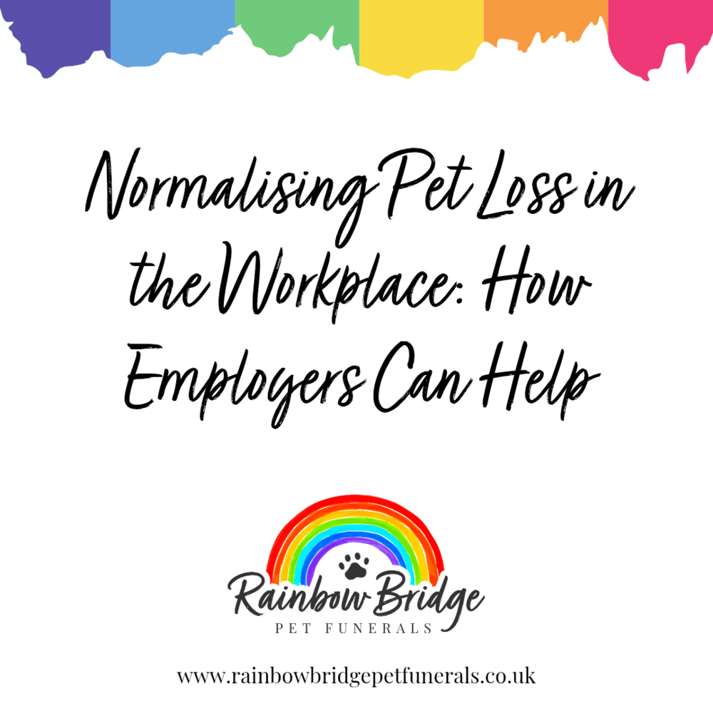 Normalising Pet Loss in the Workplace: How Employers Can Help | Rainbow Bridge Pet Funeral Services