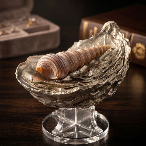 Handcrafted Oyster Shell Trinket Box – Platinum Finish