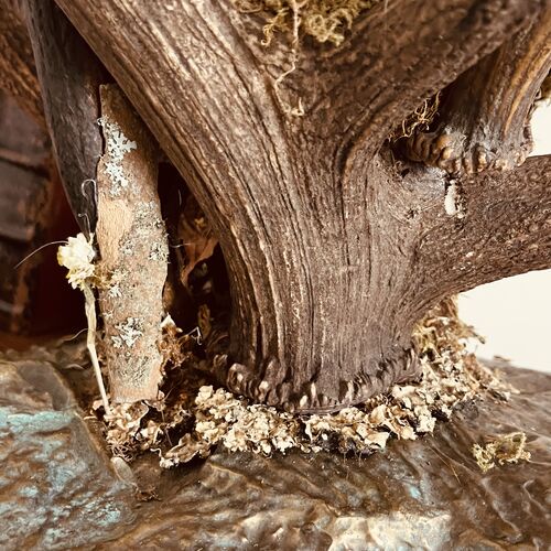 Large 5 Branch Antler Lamp Copy