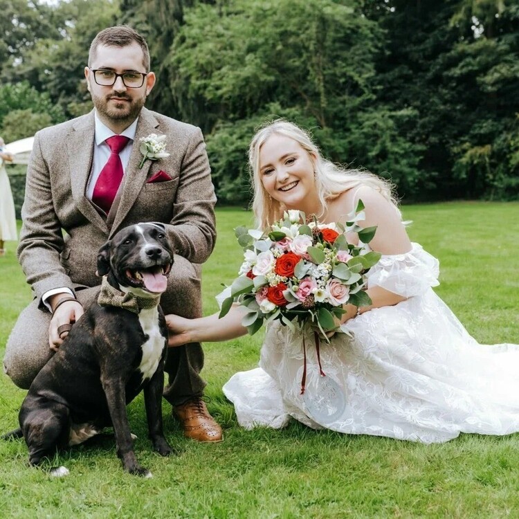Tails Of Love | Wedding dog chaperone Suffolk | Dog Chaperone for weddings in Suffolk  | Include Your Dog in Your Wedding Day