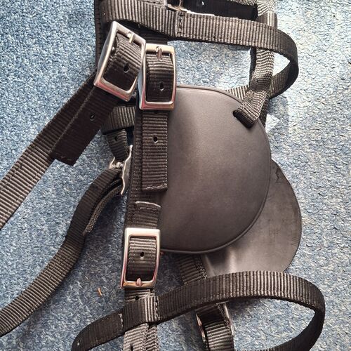 Driving Bridle - Tedex Shetland *Second hand*