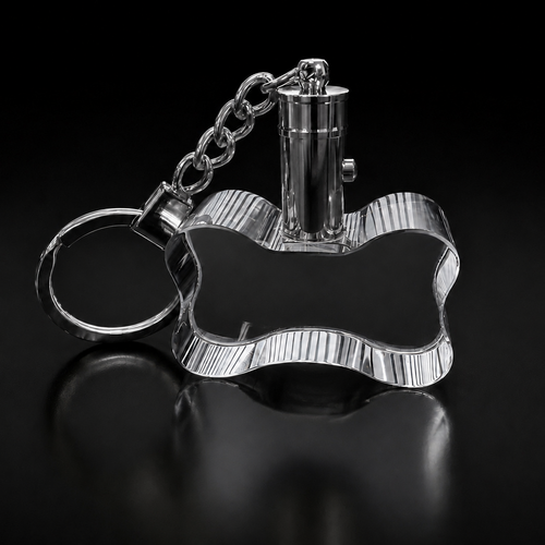 XXXL 3D Crystal Dog Bone LED Photo Keyring