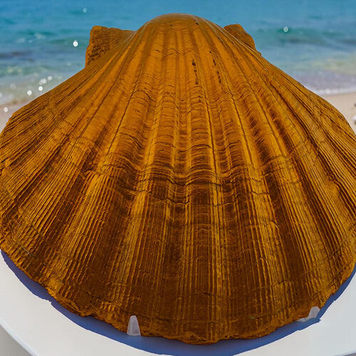 Handcrafted Coastal Scallop Shell Trinket Dish