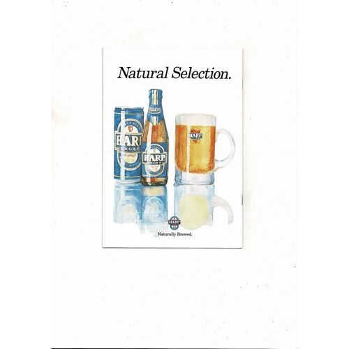 1989 Northern Ireland v Chile Football Programme
