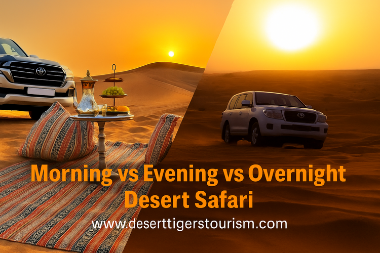 Desert Safari Dubai | Quad Bike Tours | Self Drive Dune Buggy Adventures