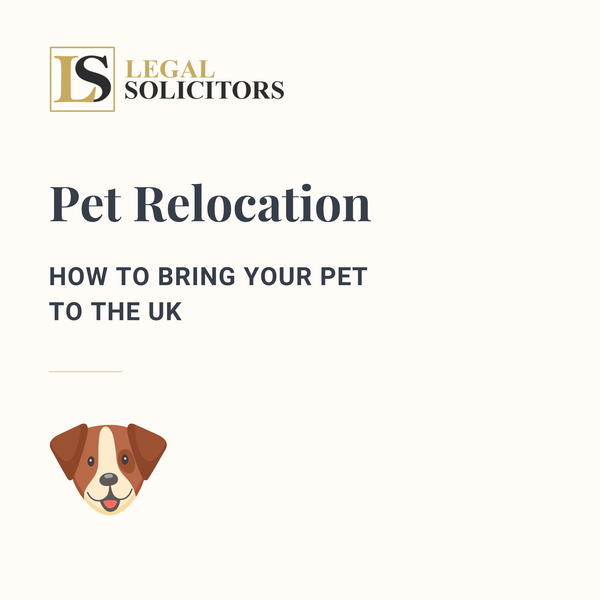 Pet Relocation: How to Bring Your Pet to the UK