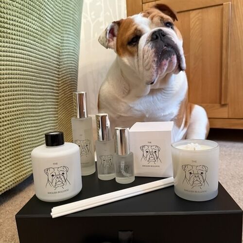 The English Bulldog Car Spray