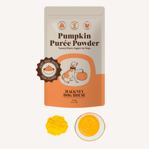 Pumpkin Powder