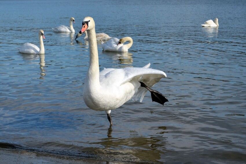 Trusted Timeshare Termination - Cancel Your Timeshare