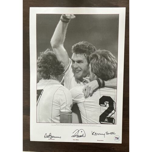 Aston Villa European Cup Print