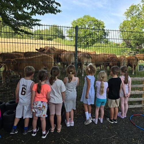 Lambley Primary School