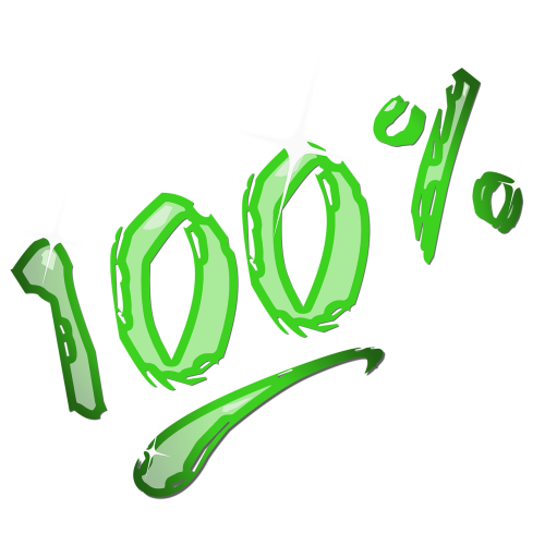 How do you ensure the quality of your surveys?