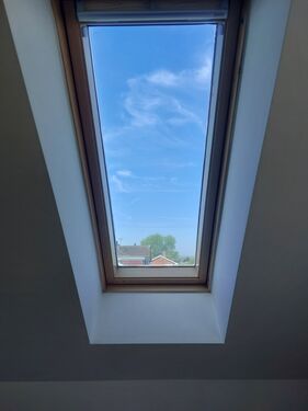 Window Film Image Gallery