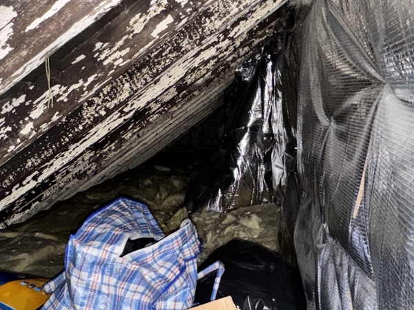 Protecting Roof Spaces: Why Ventilation Matters for Timber Maintenance