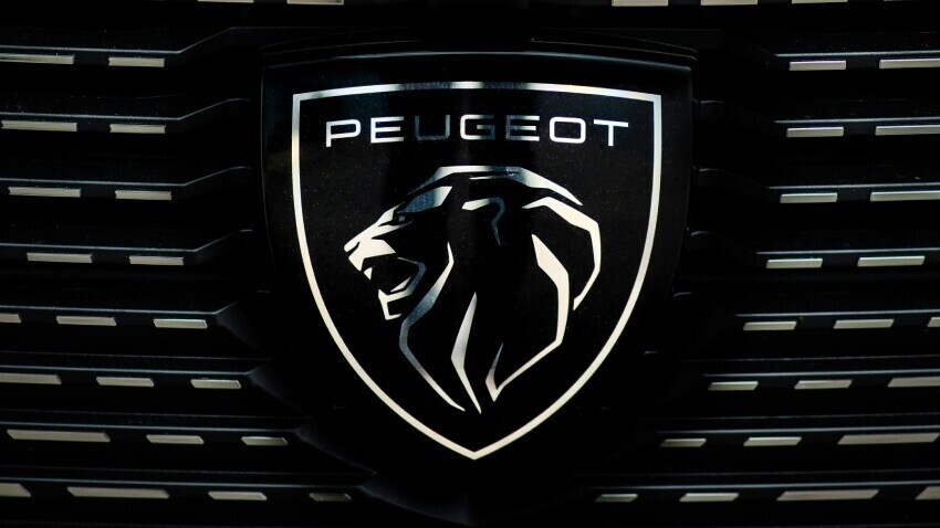 Peugeot badge on front grille of company car.