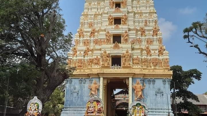 கீரிமலை நகுலேஸ்வர ஆலய தேர்த் திருவிழா