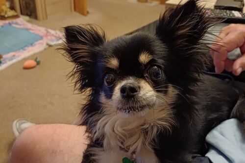 Coco