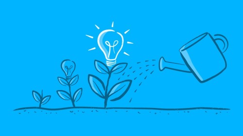 The best website packages for a start-up business 