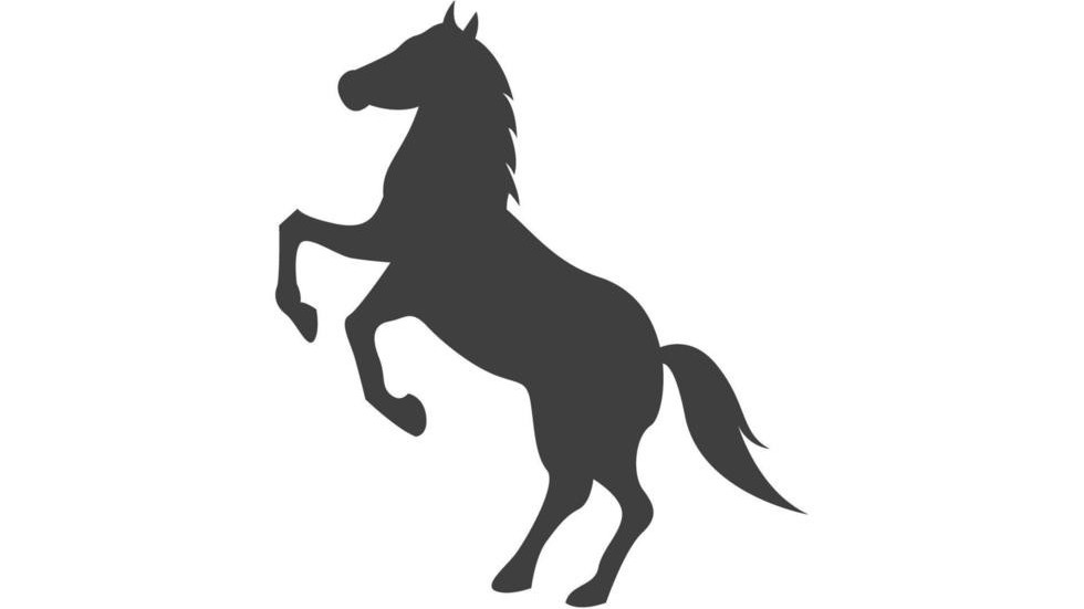 ரணிலின் சின்னம் குதிரை?