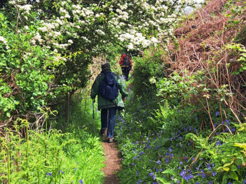 FULL - Isle of Anglesey, Wales 2026 - FULL