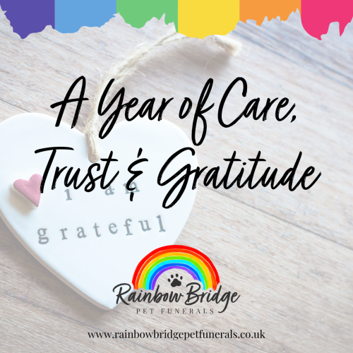 A Year of Care, Trust & Gratitude