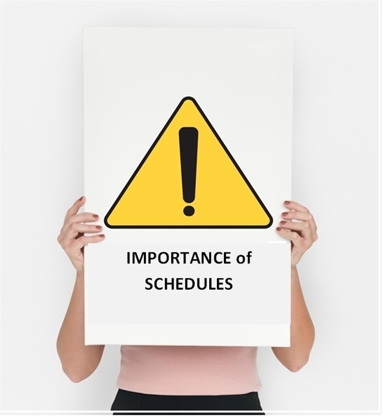 What is the importance of a schedule of condition report, sometimes referred to as a partial schedule of condition?