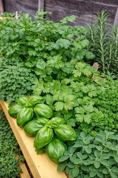 Our Commitment To Sustainability At Total Hospitality