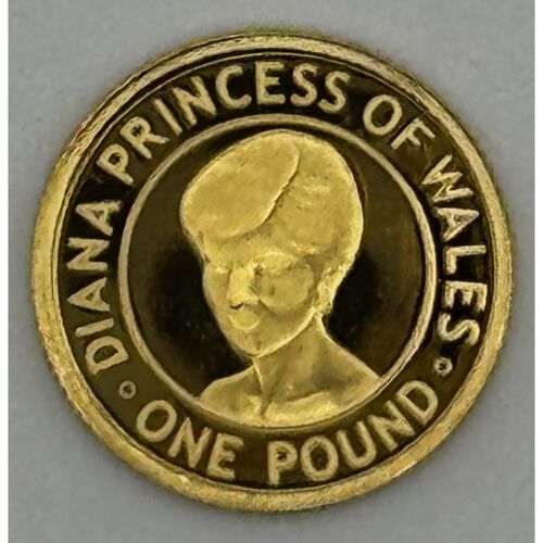 2007 pure gold one pound coin