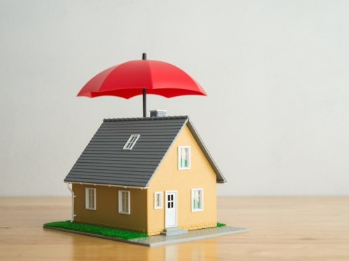 Timeshare Maintenance Fee Debts and Estate Planning: What You Need to Know.