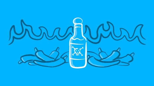 The Apprentice logo challenge - S19 Ep8 Hot Sauce