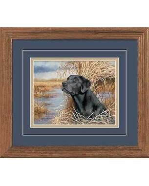 Blind Ambition Black Labrador by American Artist Bertram